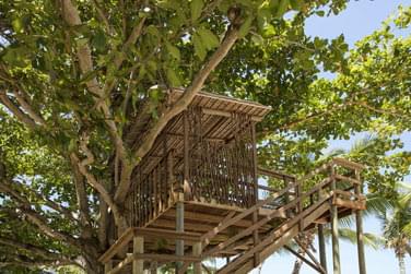 Prenez de la hauteur dans notre jolie cabane en bois, perche au cur dun badamier au bord de la plage