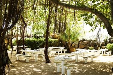 Succombez  ses viandes et  ses poissons fums... : Crole Smoke House