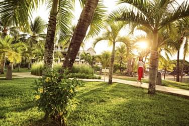 Les jardins luxuriants