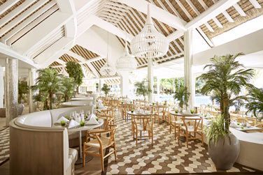 Dcouvrez de nouvelles saveurs au restaurant Palm Court