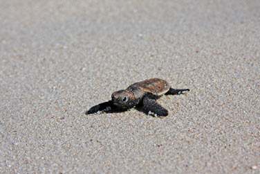 Vous serez combl par l'irrsistible beaut des lieux