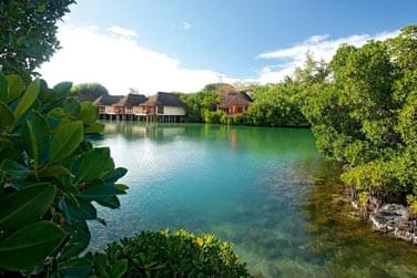 Junior Suite sur pilotis surplombant une rserve naturelle de poissons