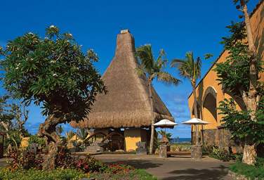 Chaume, roches volcaniques, plantes tropicales..