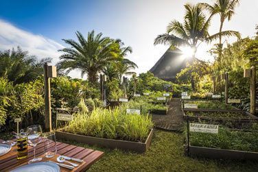 The Herb Trail : une exprience culinaire unique !