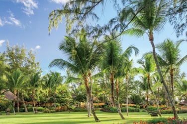 Les jardins tropicaux luxuriants de l'htel