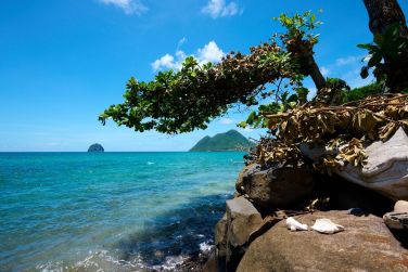 photo Diamant Beach Martinique