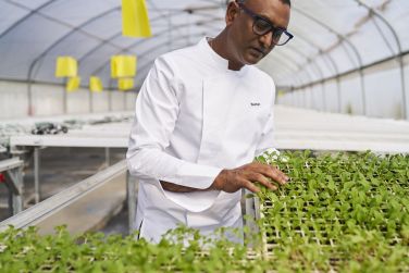 photo LUX* Belle Mare - Villas Ile Maurice