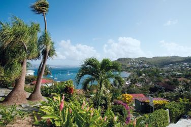 photo Le Panoramic Martinique