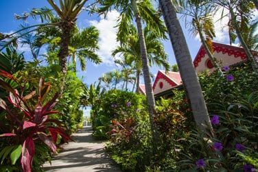 Au coeur du jardin tropical dcouvrez les chambres du Tom Beach