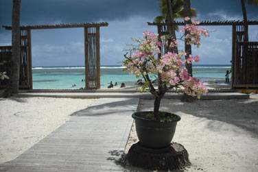 Petite partie dtente en retrait de la plage publique...