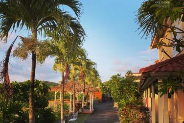 photo Anoli Lodges Village Martinique