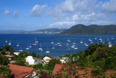 Bienvenue au Anoli Village !