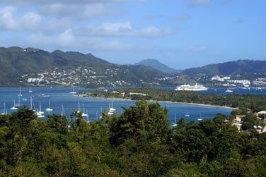 Situ sur les hauteurs de Sainte-Anne, dans le Sud de la Martinique