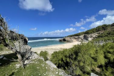 photo Cotton Bay Rodrigues