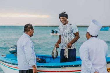 photo Cotton Bay Rodrigues