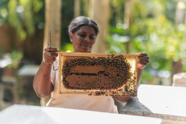 photo Cotton Bay Rodrigues