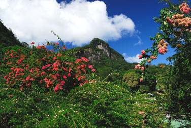 photo Valmer Resort Seychelles