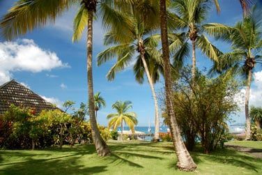 Ou profiter de la quitude des jardins