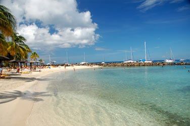 Vous pourrez lzarder sur le sable au soleil...