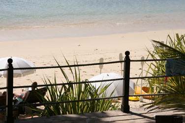 Vous disposerez d'une superbe vue sur la vgtation tropicale