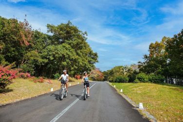 Arpentez les ctes en vlo afin de dcouvrir la vgtation luxuriante