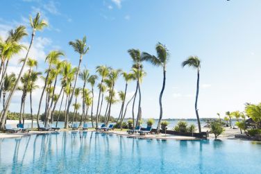 Magnifique piscine ct Hibiscus borde de ses palmiers tropicaux