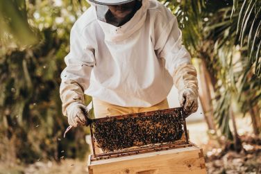 Eric Lee  Beachcomber Resorts & Hotels