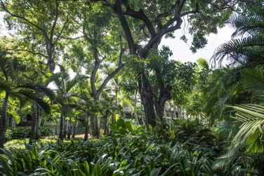 Anne Emmanuelle Thion  Beachcomber Resorts & Hotels