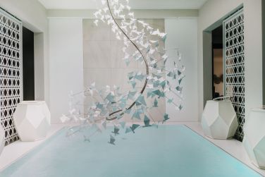 photo Royal Palm Ile Maurice