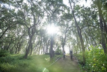 Anne Lise Ramooloo  Beachcomber Resorts & Hotels