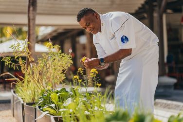 Virginie Tennant  Beachcomber Resorts & Hotels