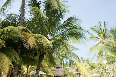 Anne-Lise Ramooloo  Beachcomber Resorts & Hotels