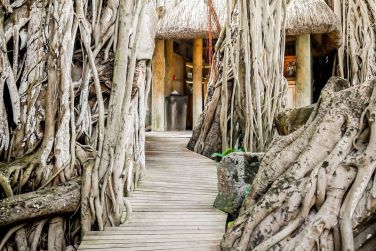 Indie Marea  Beachcomber Resorts