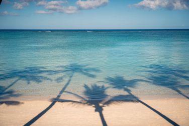 Alexandre Lassemillante  Beachcomber Resorts & Hotels