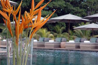 Vritable refuge tropical priv et cosy,