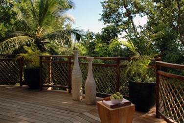 De votre terrasse, vue sur le jardin tropical et la vgtation gnreuse