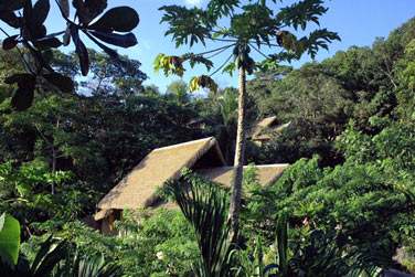 Les villas de Charme sont trs bien intgres  l'environnement