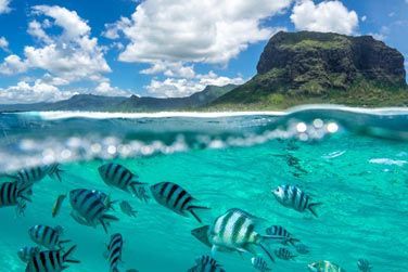 L'htel se situe  proximit d'excellents sites de plonge