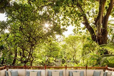 Le lobby, un espace chaleureux au coeur de la nature