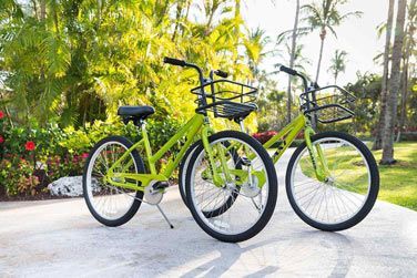 Des visites guides en VTT