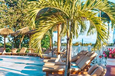 Transats bords de palmiers du relais du moulin