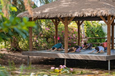 ... ou pour un moment de d�tente zen...