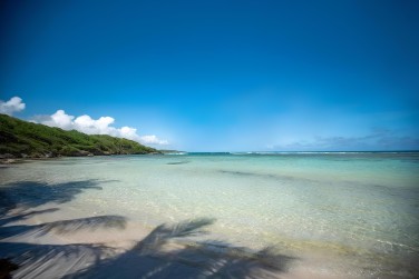 aux eaux translucides