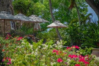 Les jardins tropicaux du relais du moulin