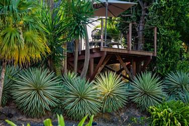 En pleine immersion  travers les jardins tropicaux et luxuriant, vous adorerez ce ct nature et dpaysant