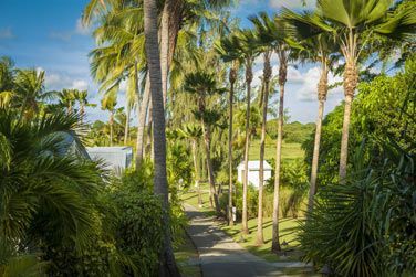 Pour un sjour au coeur d'une vgtation tropicale flamboyante