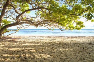 Bienvenue en Guadeloupe !