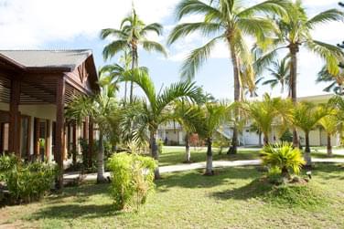 Aventurez-vous dans nos jardins et dcouvrez les fleurs au parfum tropical de la Runion