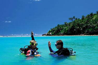 Profitez des eaux poissonneuses entourant l'htel pour vous initier  la plonge