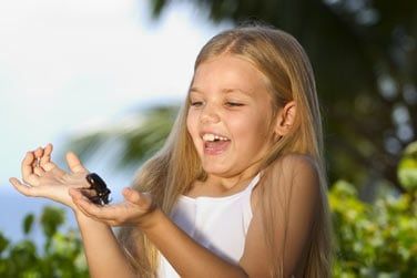 Grce au programme de conservation, apprenez-en plus sur la biodiversit de l'le